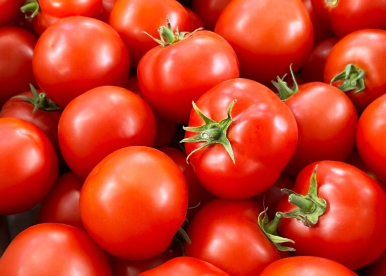 shutterstock_2522289511