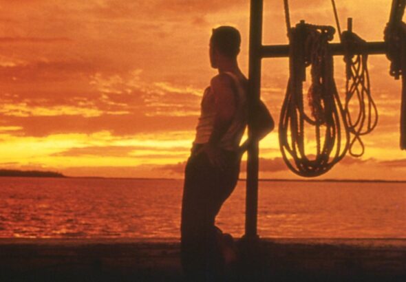 Forrest Gump läuft morgen Nachmittag im Fernsehen