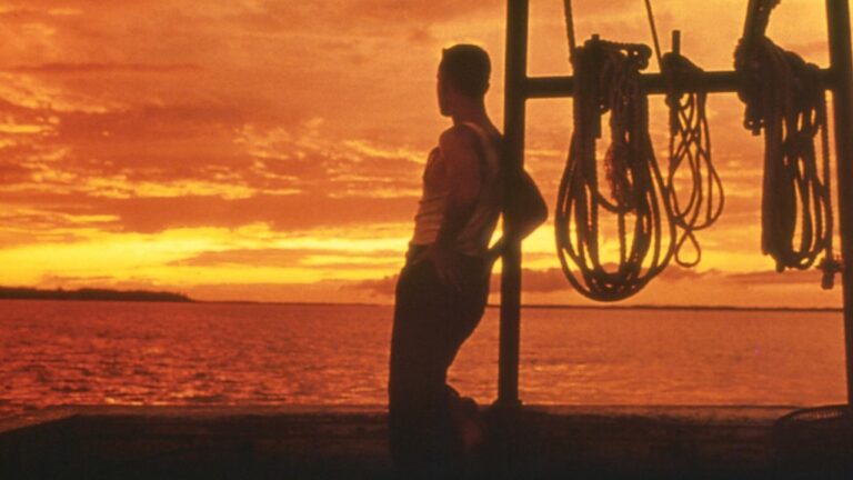 Forrest Gump läuft morgen Nachmittag im Fernsehen