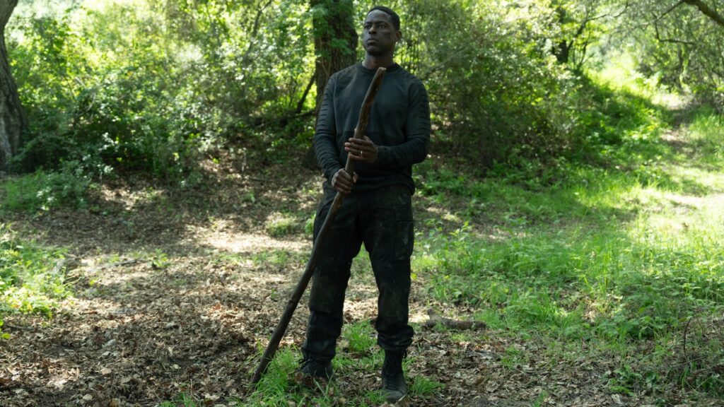 Firefly kehrt nach 20 Jahren zurück - Netflix streicht Thriller