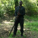 Firefly kehrt nach 20 Jahren zurück - Netflix streicht Thriller