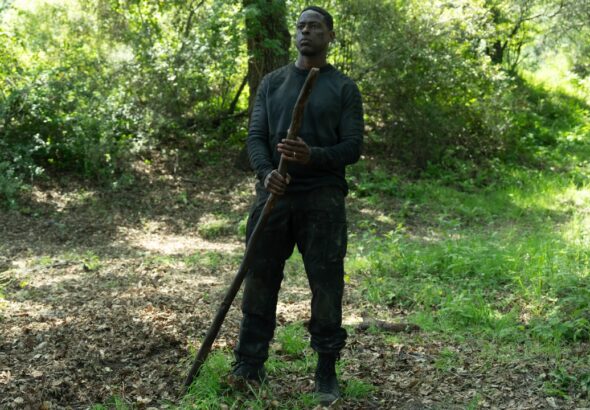 Firefly kehrt nach 20 Jahren zurück - Netflix streicht Thriller