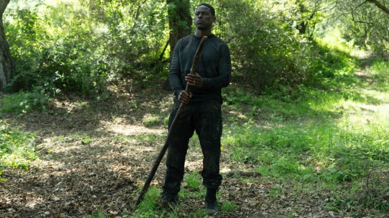 Firefly kehrt nach 20 Jahren zurück - Netflix streicht Thriller